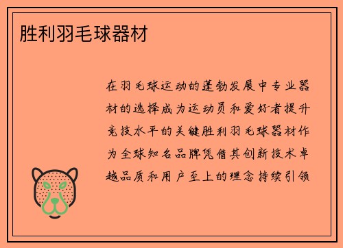 胜利羽毛球器材